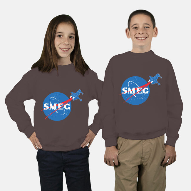 Smeg-youth crew neck sweatshirt-geekchic_tees