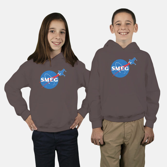 Smeg-youth pullover sweatshirt-geekchic_tees