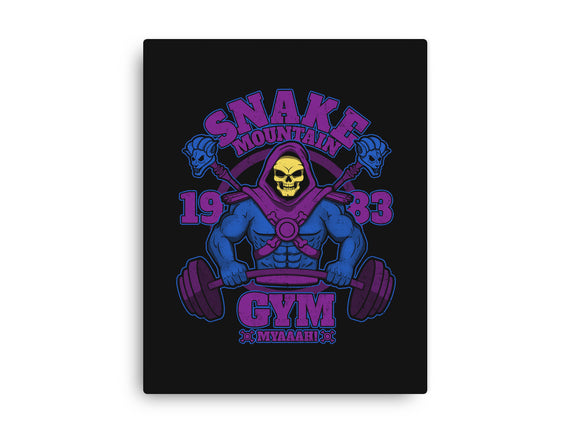 Snake Mountain Gym