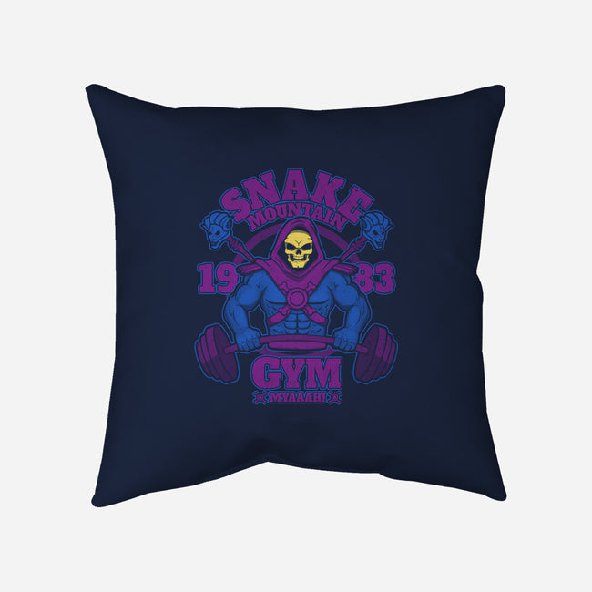 Snake Mountain Gym-none removable cover w insert throw pillow-jozvoz