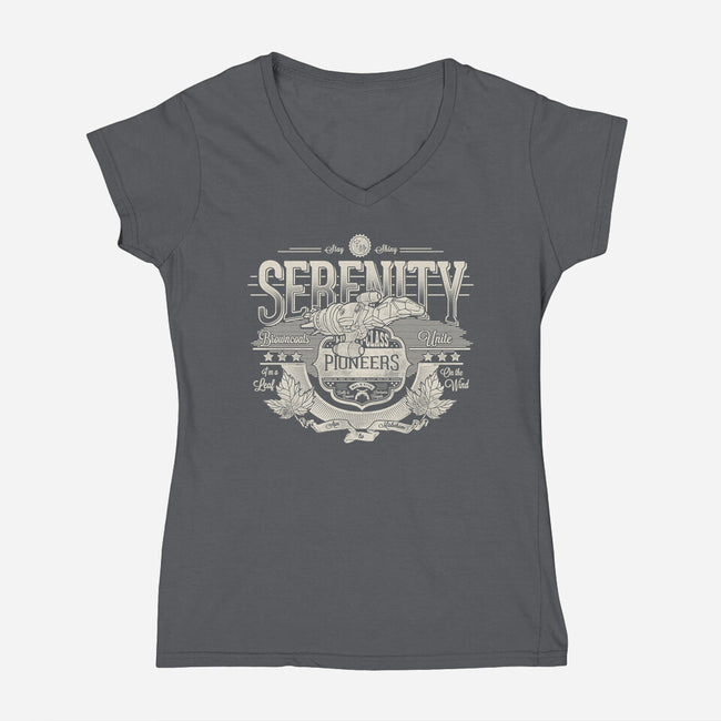 Space Pioneers-womens v-neck tee-CoD Designs