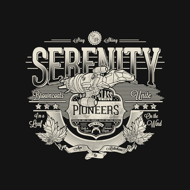 Space Pioneers-womens v-neck tee-CoD Designs