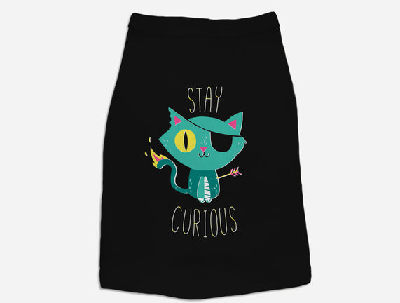 Stay Curious