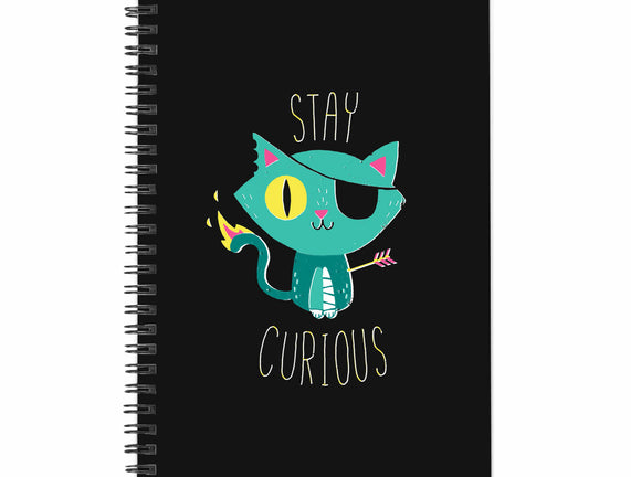 Stay Curious