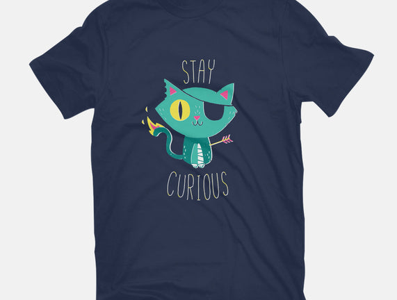 Stay Curious