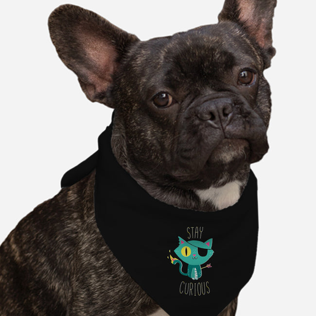 Stay Curious-dog bandana pet collar-DinoMike