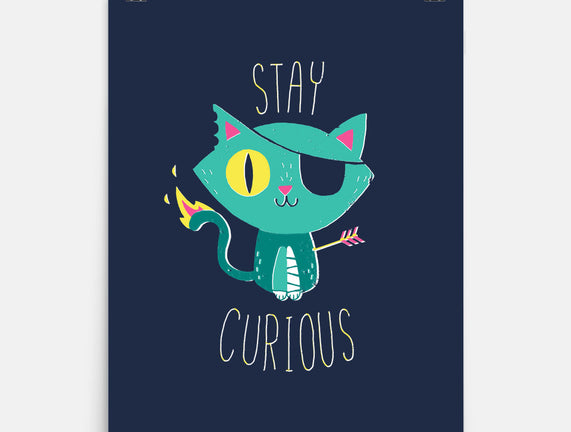 Stay Curious