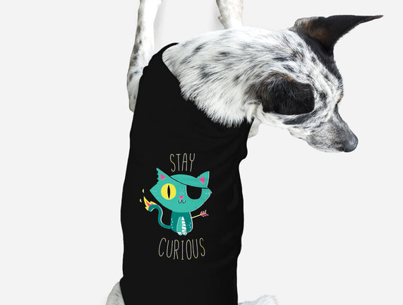 Stay Curious