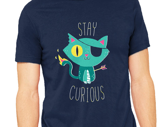 Stay Curious