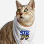 Step Bros-cat bandana pet collar-jangosnow