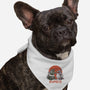 Sumo Pop-dog bandana pet collar-vp021