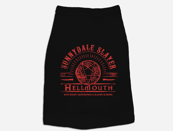 Sunnydale Slayer