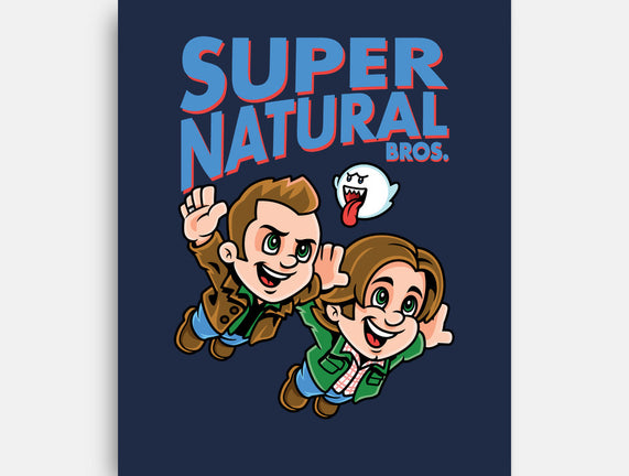 Super Natural Bros