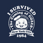 Survivor 1984-none removable cover w insert throw pillow-RBucchioni