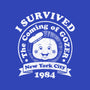Survivor 1984-none removable cover w insert throw pillow-RBucchioni