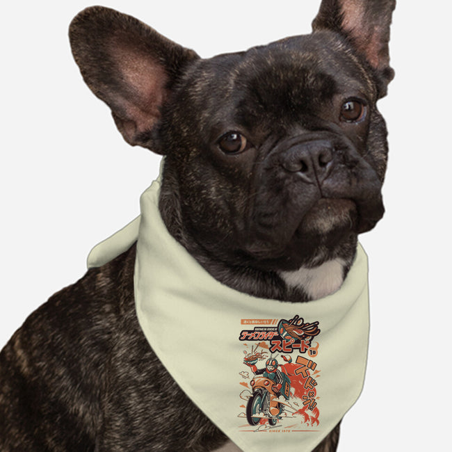 Ramen Rider-dog bandana pet collar-ilustrata