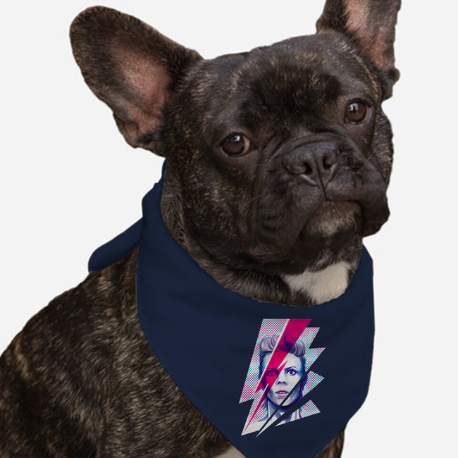 Rise and Fall-dog bandana pet collar-beanclam