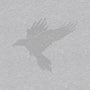Quoth The Raven-womens v-neck tee-mikematola