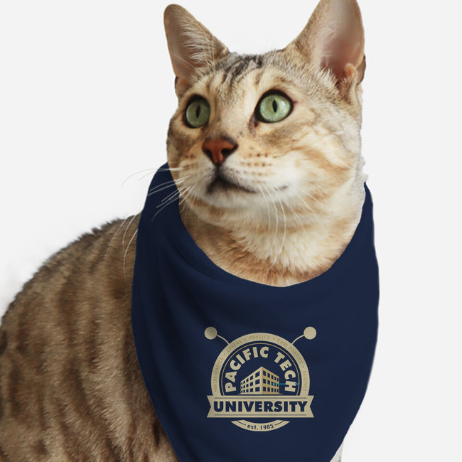 Pacific Tech University-cat bandana pet collar-Jason Tracewell
