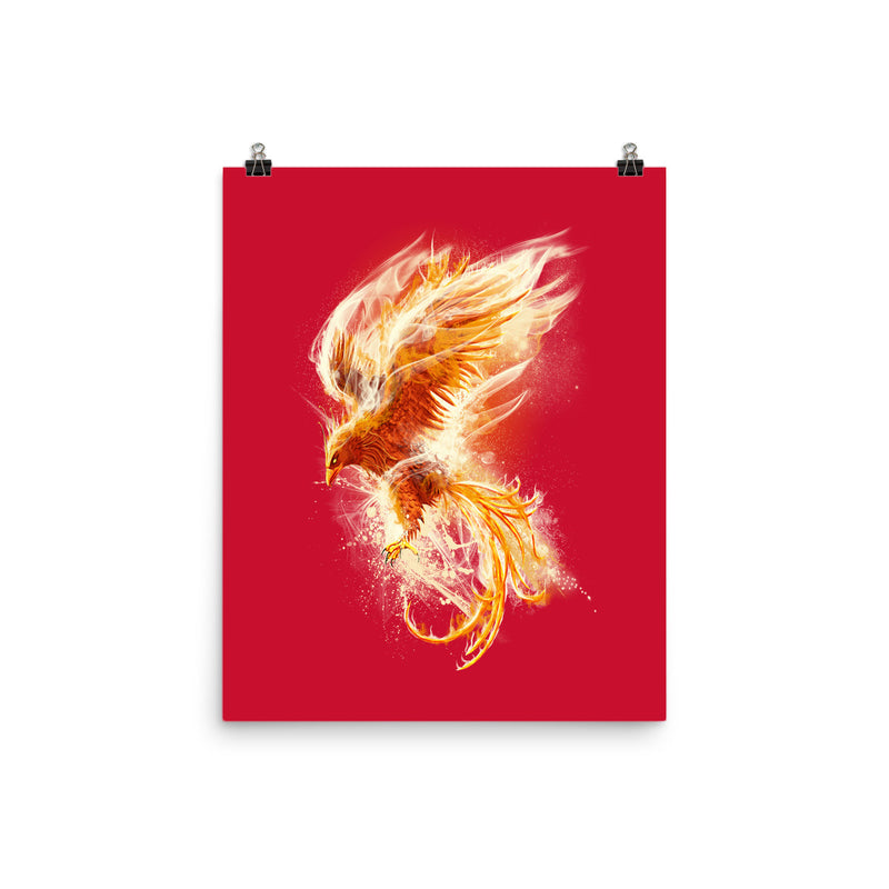18093-collection-pos-non-mat-