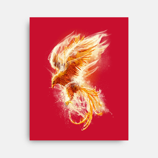 Phoenix Reborn-none stretched canvas-alnavasord