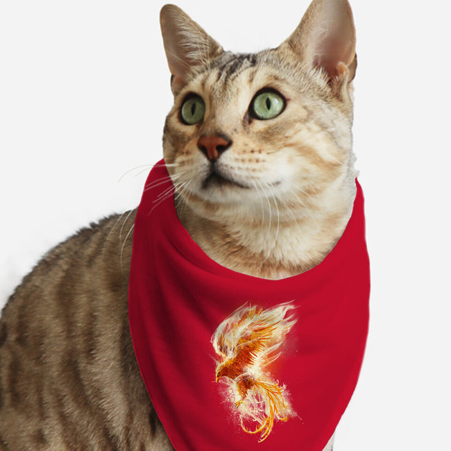 Phoenix Reborn-cat bandana pet collar-alnavasord