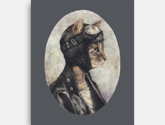 Pilot