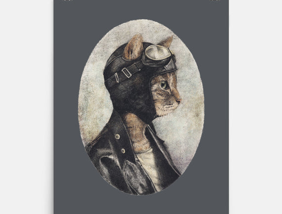 Pilot