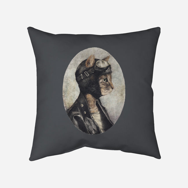 Pilot-none removable cover w insert throw pillow-Mike Koubou