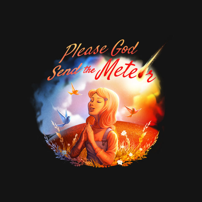 Please God Send the Meteor-none adjustable tote-tobefonseca