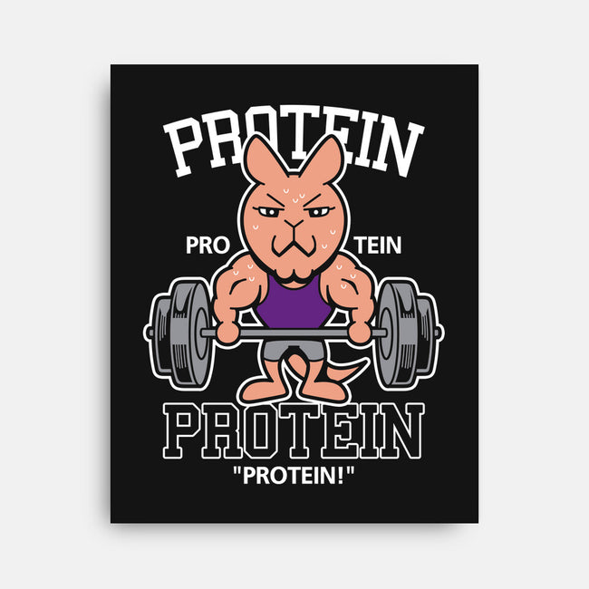 Protein Gym-none stretched canvas-Boggs Nicolas