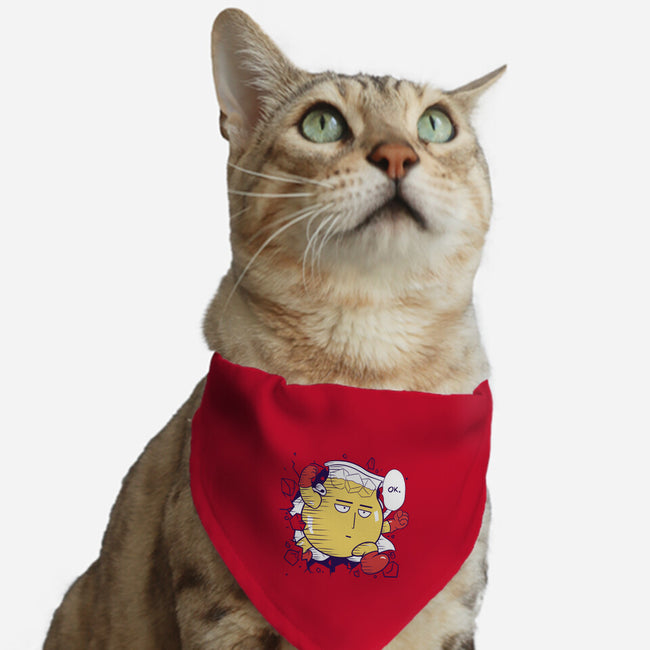 Punch-Aid-cat adjustable pet collar-KindaCreative