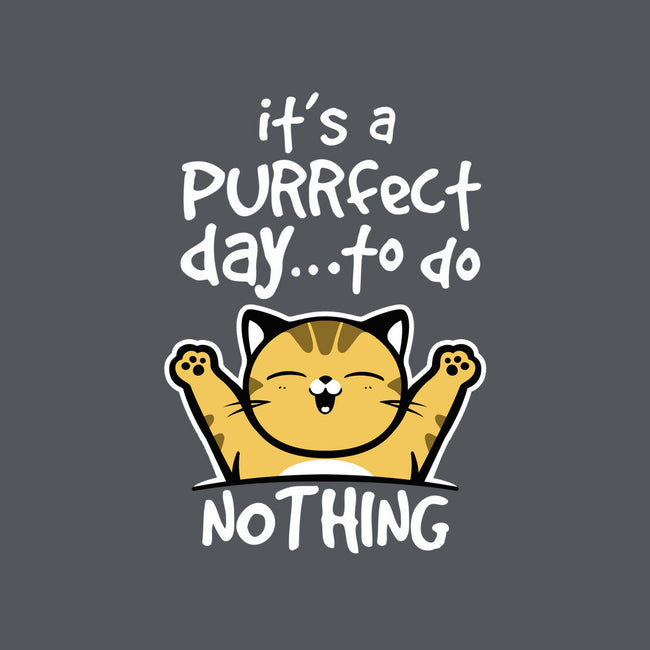 Purrfect Day-none removable cover w insert throw pillow-NemiMakeit