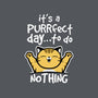Purrfect Day-none removable cover w insert throw pillow-NemiMakeit