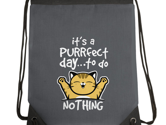 Purrfect Day