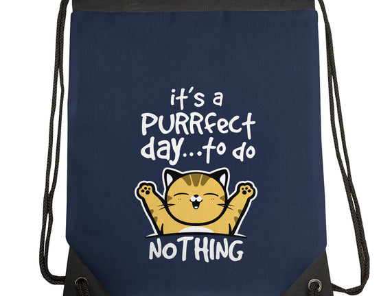 Purrfect Day