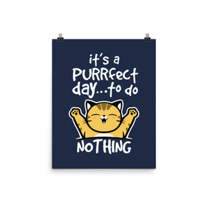 Purrfect Day