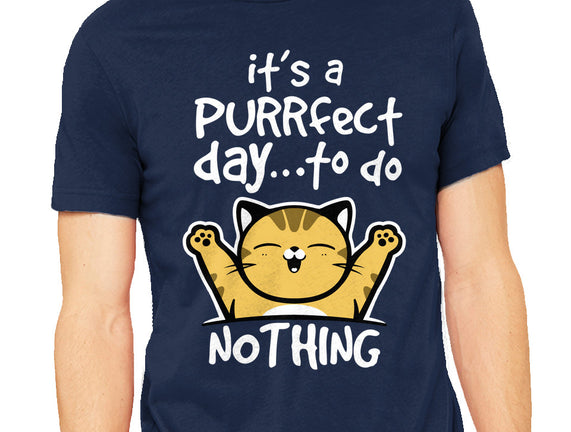 Purrfect Day