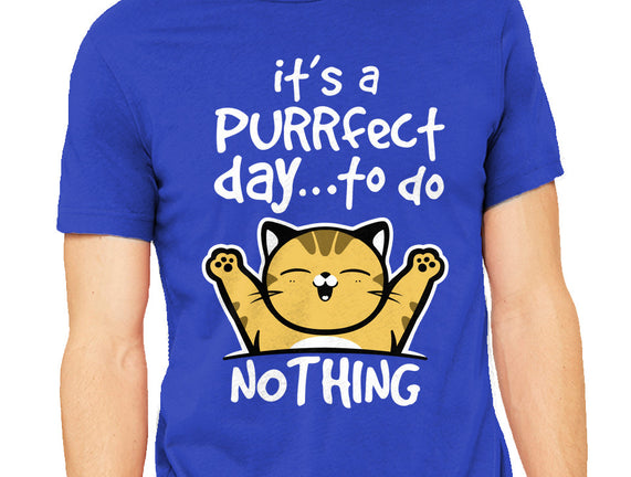 Purrfect Day
