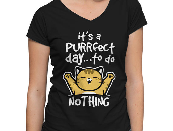 Purrfect Day