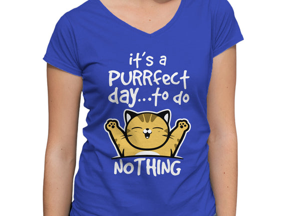 Purrfect Day