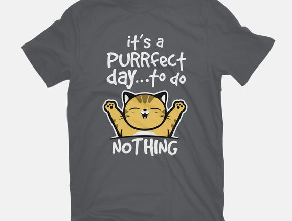 Purrfect Day