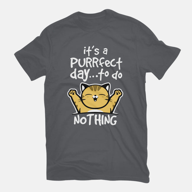 Purrfect Day-mens heavyweight tee-NemiMakeit