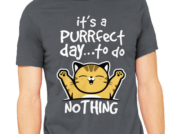 Purrfect Day
