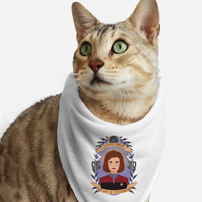 Our Lady of Determination-cat bandana pet collar-heymonster
