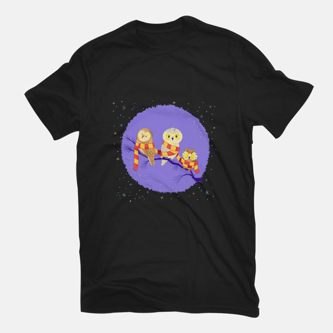 Owl Post-mens heavyweight tee-Miranda Dressler