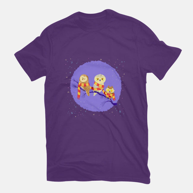 Owl Post-mens heavyweight tee-Miranda Dressler