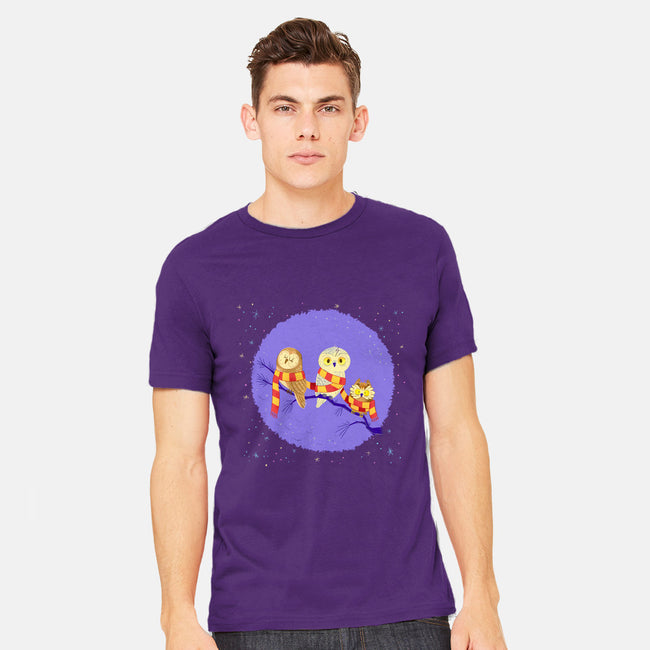 Owl Post-mens heavyweight tee-Miranda Dressler