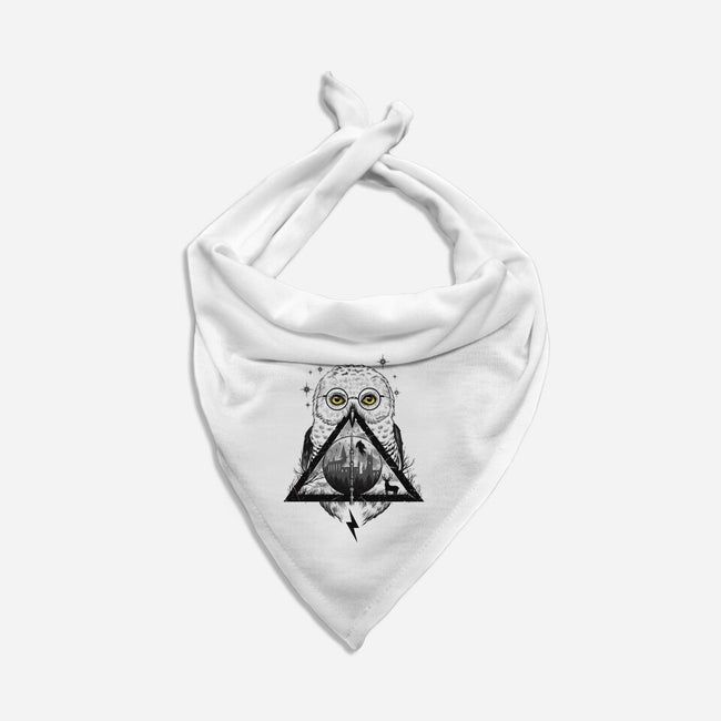 Owls and Wizardry-dog bandana pet collar-vp021