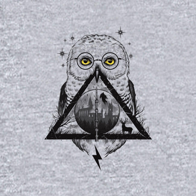 Owls and Wizardry-womens off shoulder tee-vp021